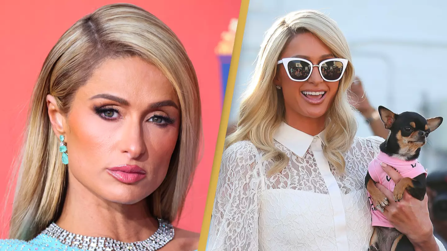 Paris Hilton offers $10,000 reward for information or return of her pet Chihuahua Diamond Baby