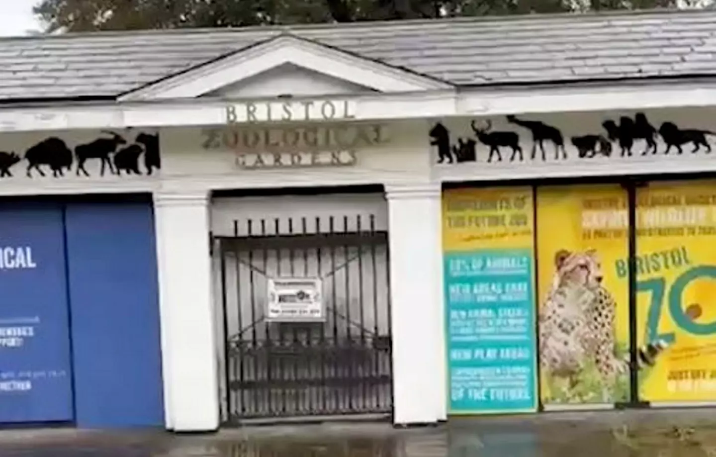 The site at Bristol Zoo has been closed for three years (SWNS)