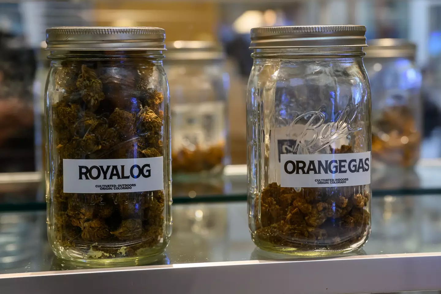 Many US states have relaxed laws around the drug (Jim Franco/Albany Times Union via Getty Images)