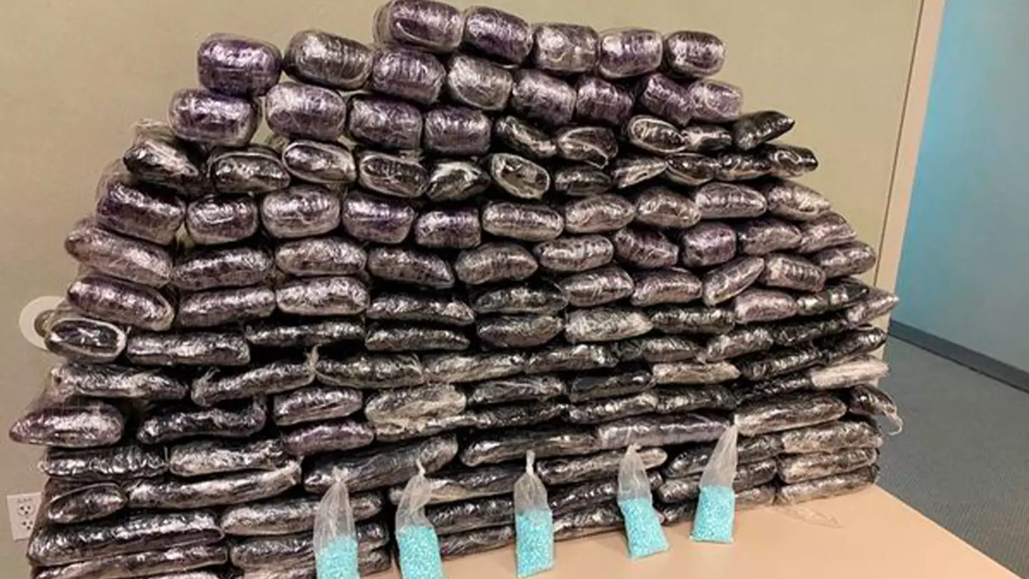 Border patrol seize enough fentanyl to 'kill population of US five times over'