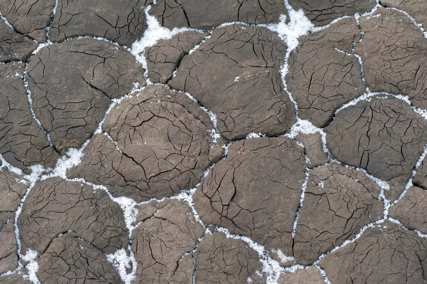 There's all sorts beneath the permafrost.