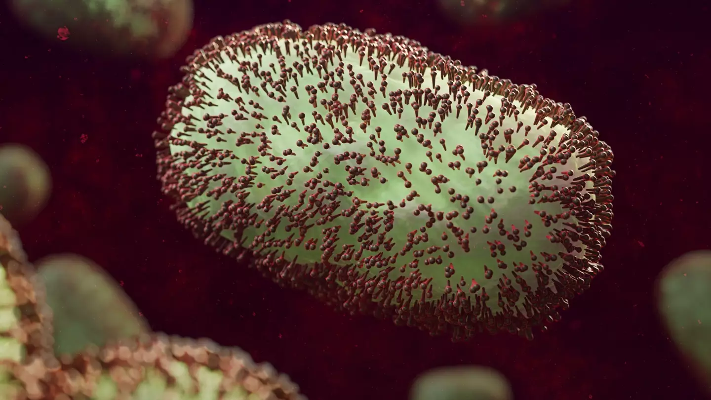 Thousands of people have contracted monkeypox in recent months.