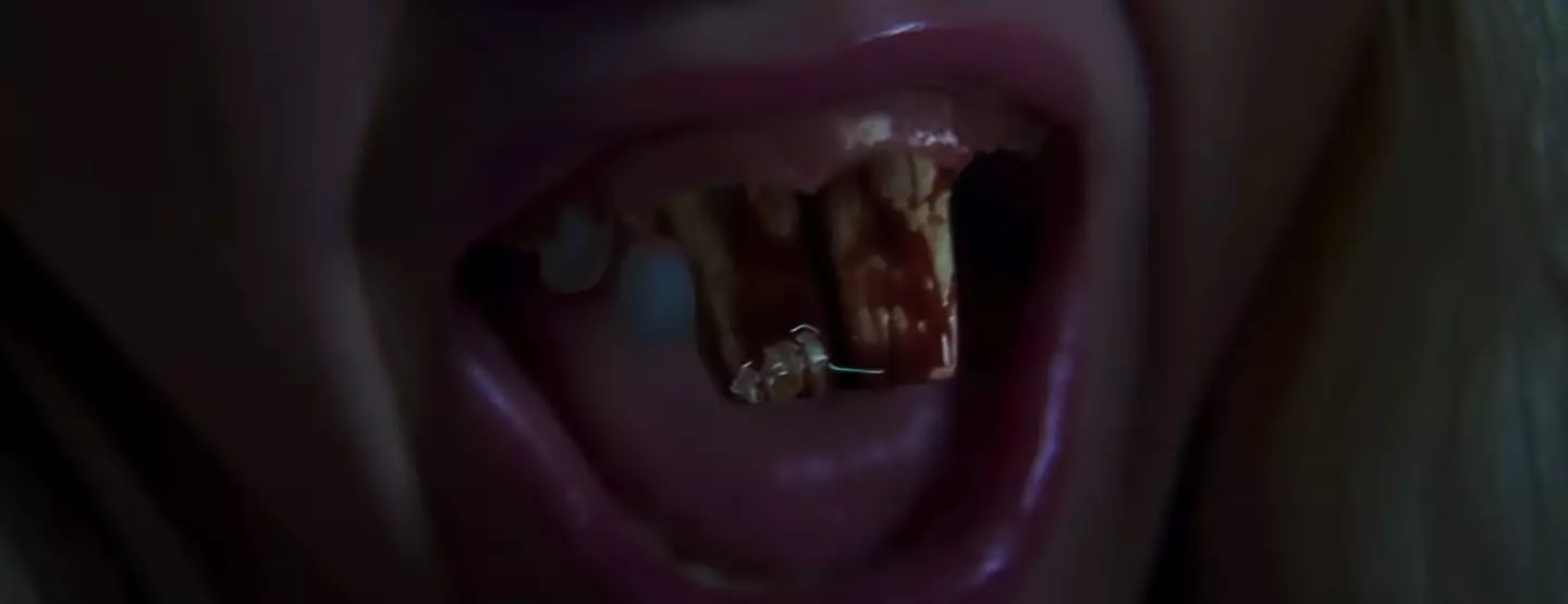 Zombeavers was released in 2014 and sees a group of college students being terrorised by zombie beavers.