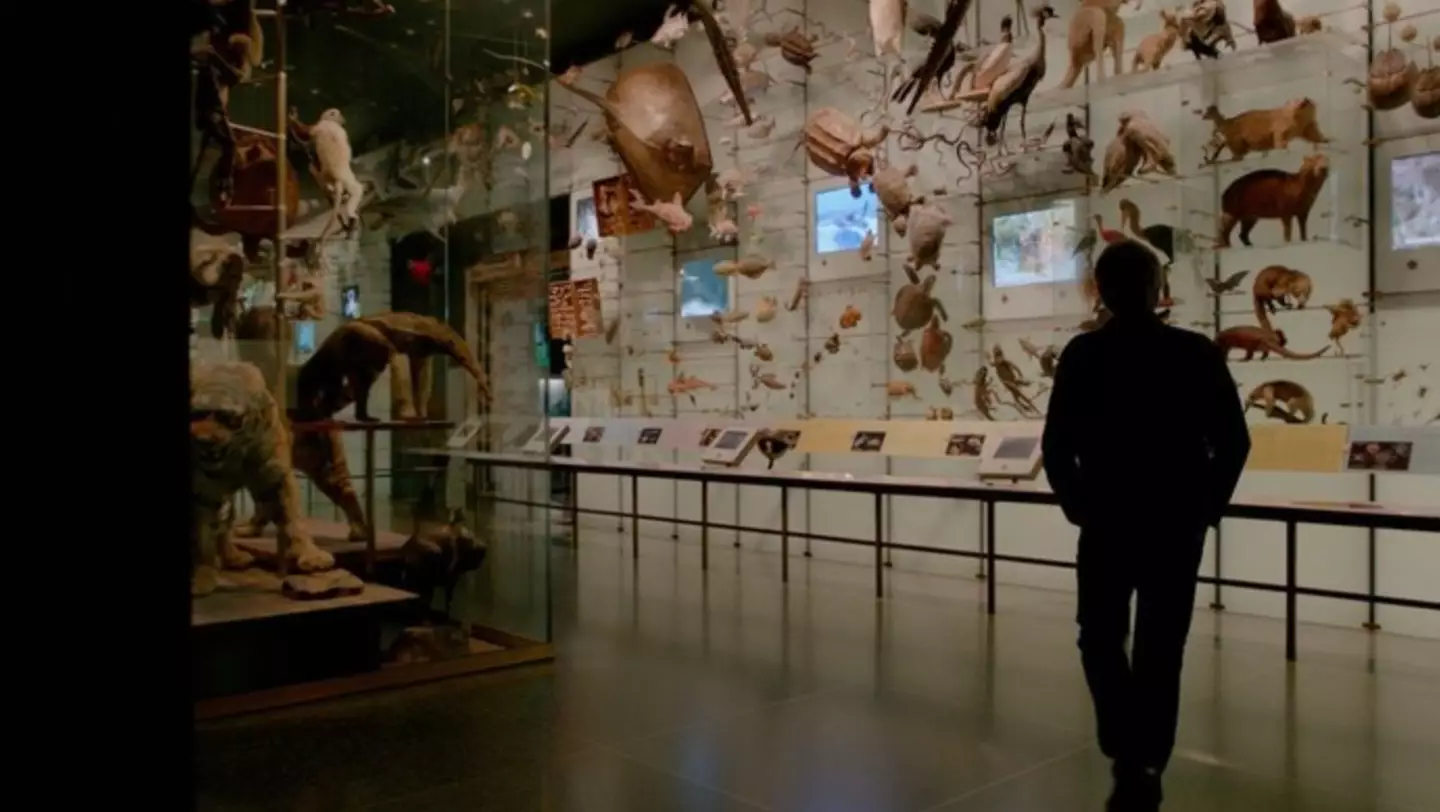 The documentary is being dubbed a 'must-watch' (Oceanic Preservation Society)