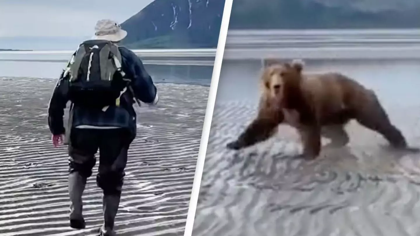 Wildlife photographer shows how they scare off giant bear running toward them and people are shocked