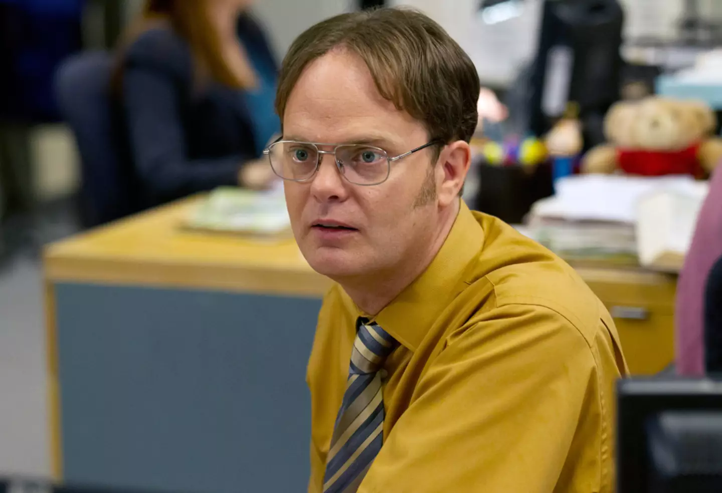 Rainn Wilson starred in the US iteration of The Office.