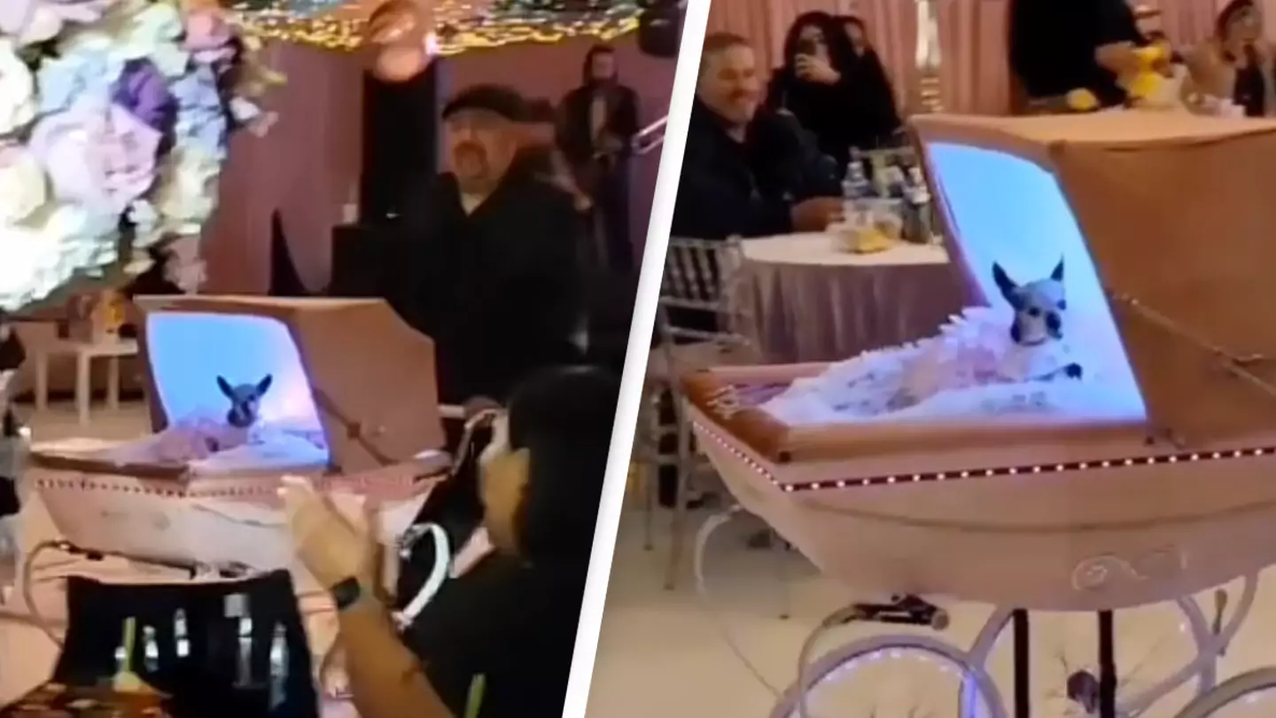 Comedian spends $100,000 on a lavish quinceañera for his chihuahua