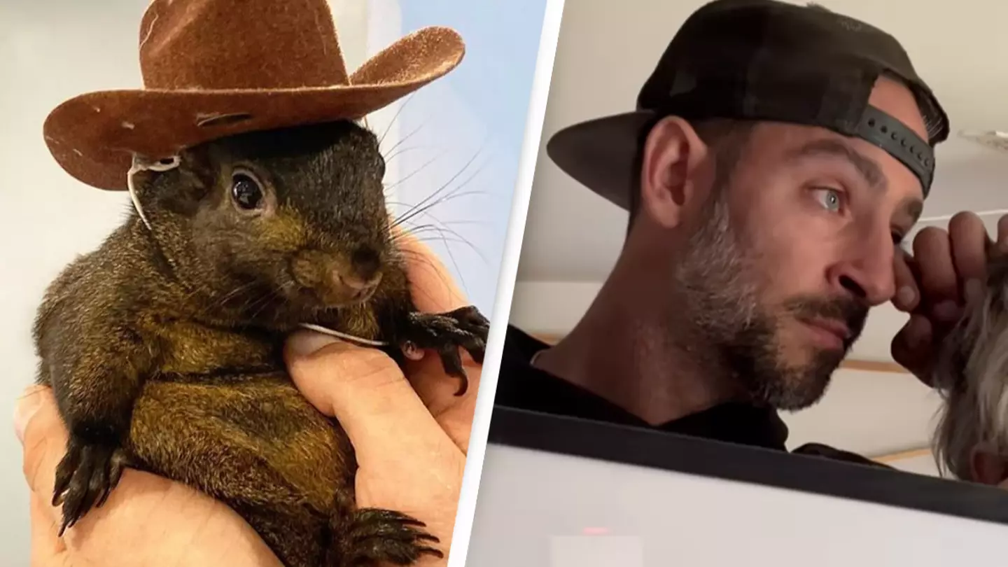 Instagram/peanut_the_squirrel12