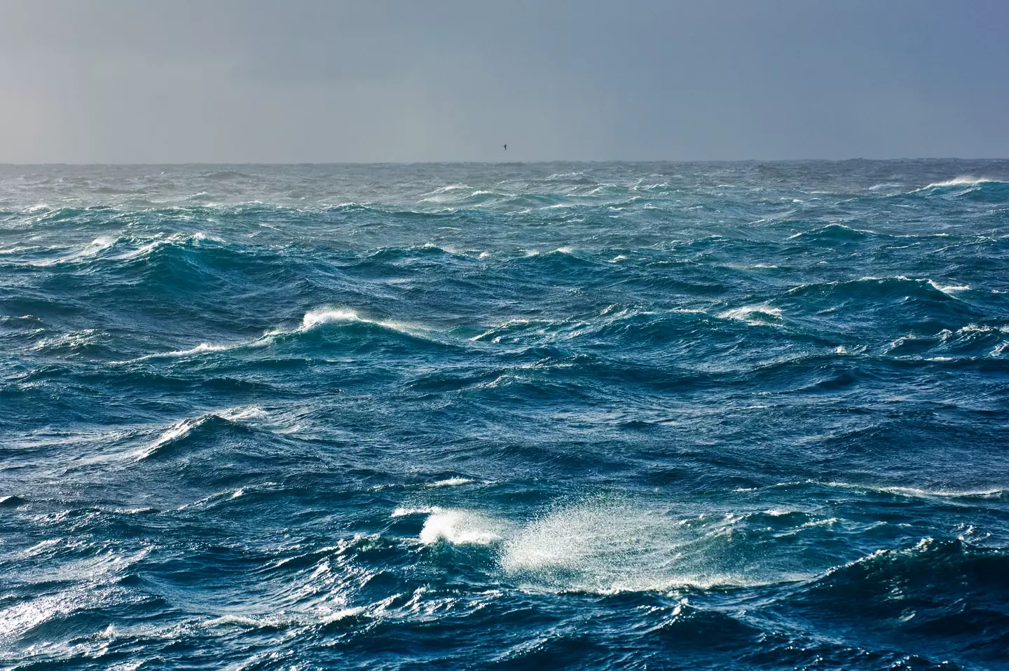 El Océano Atlántico puede verse muy diferente en el futuro.