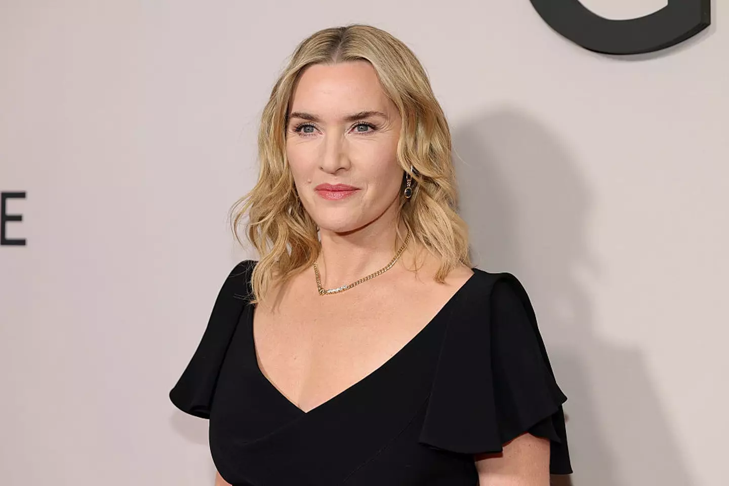 Kate Winslet spoke about the term 'nepo baby' (Dia Dipasupil/WireImage)
