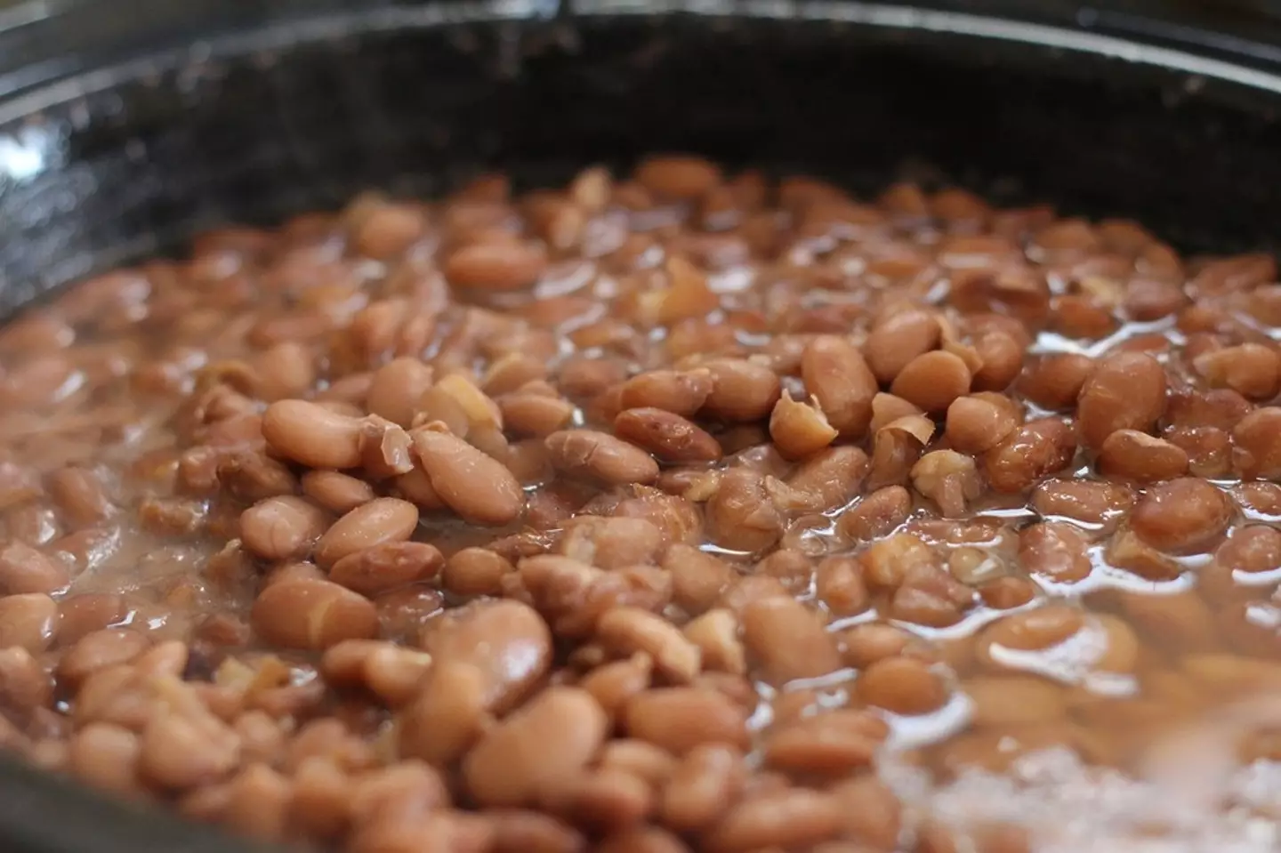 Team Beans didn't mess around!