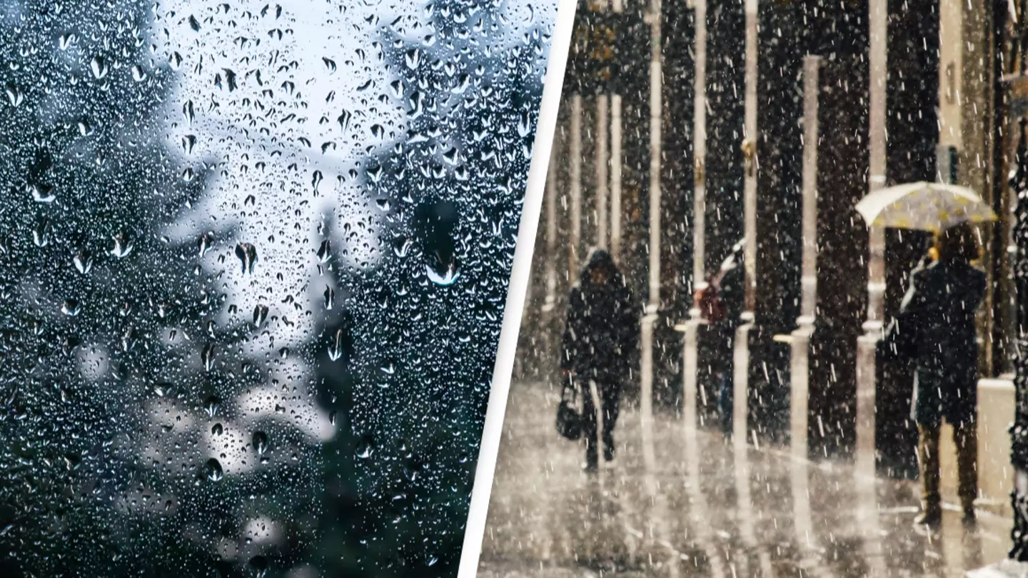Scientists confirm some people are able to smell when rain is coming