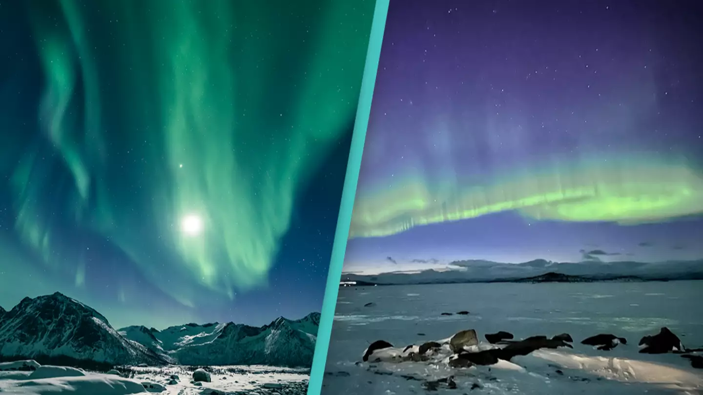 People terrified after hearing noise Aurora Borealis makes