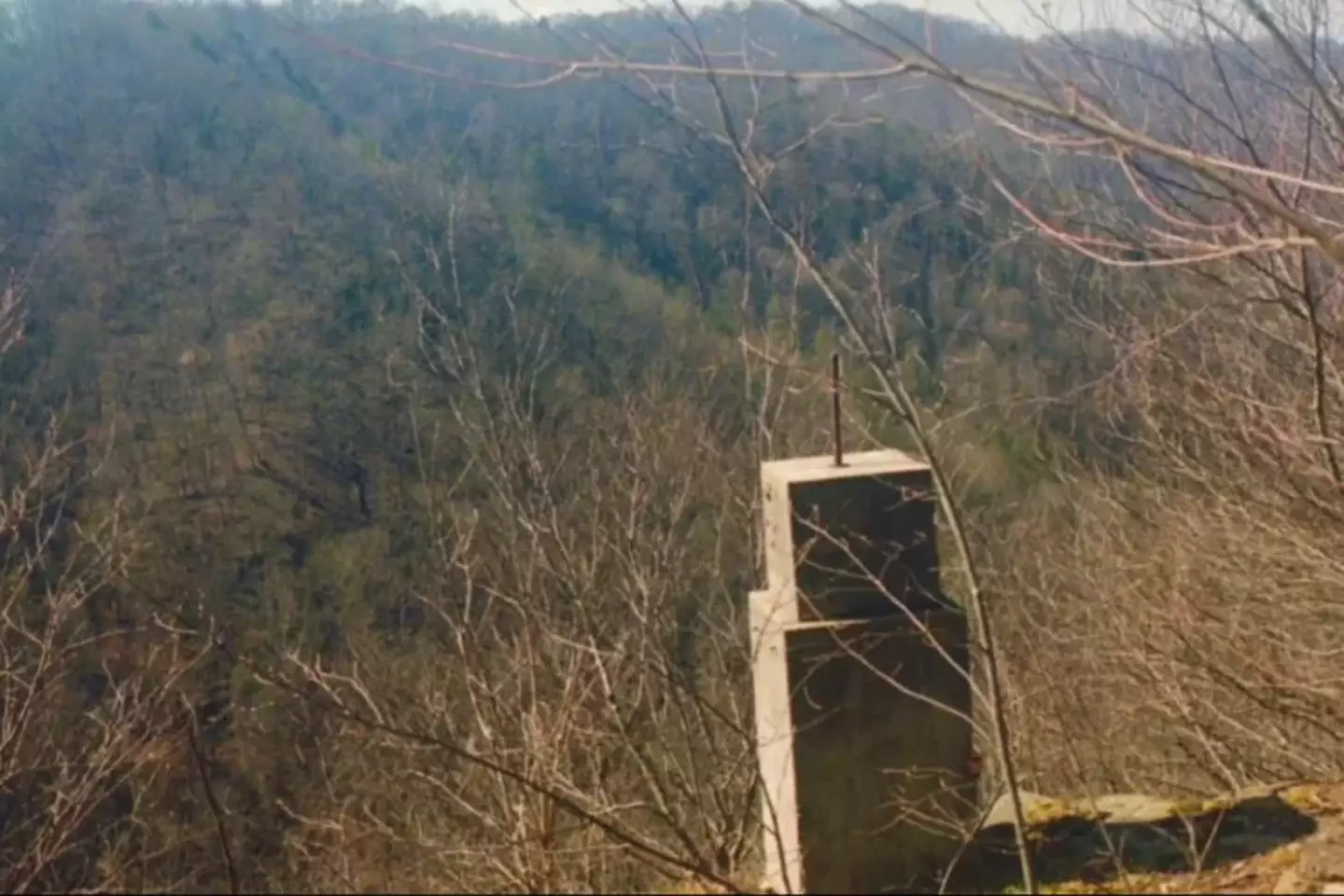 Duffy Springfield took a photo at the top of a mountain in Panther, West Virginia earlier this year and spotted something terrifying when she finally got the picture developed (Duffy Springfield)