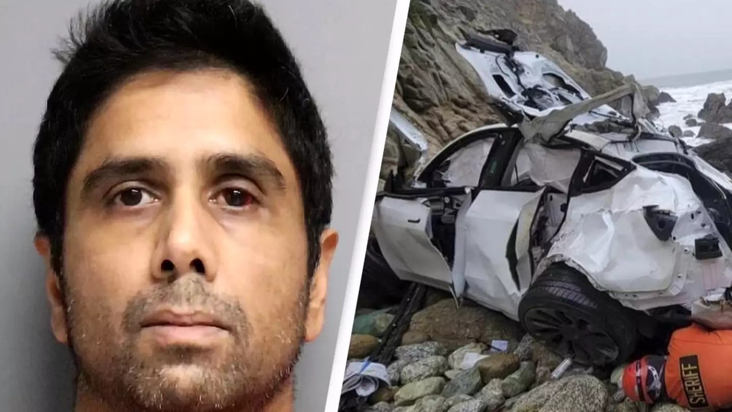 Doctor who intentionally drove Tesla off cliff with family inside will not face trial or jail time