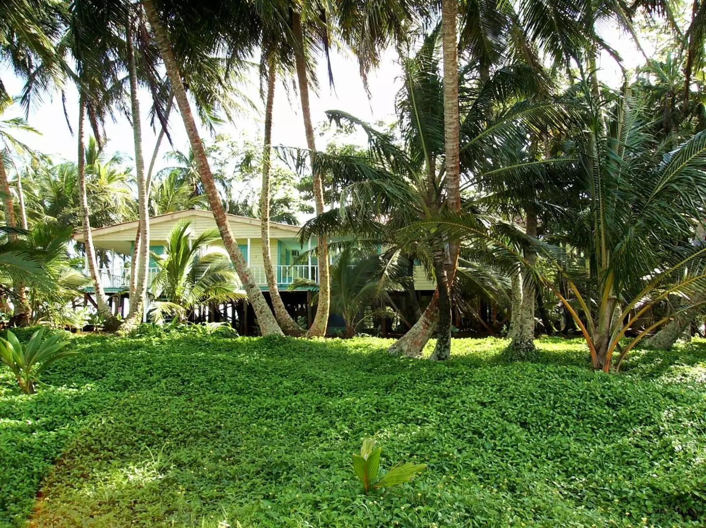 It's a great deal, considering how nice it looks.