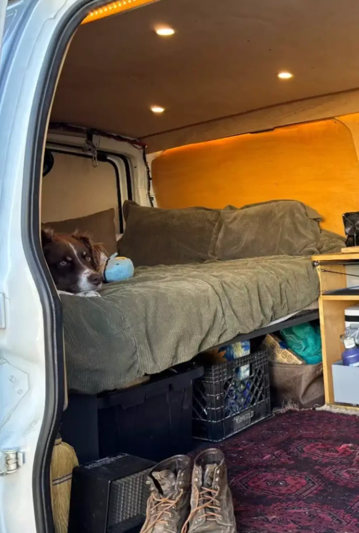 The landlord is now living in his van.