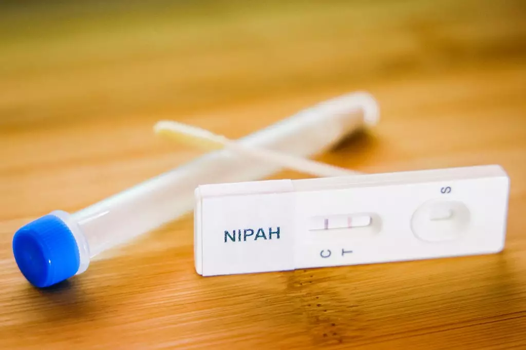 The WHO issued new advice (Photo by Beata Zawrzel/NurPhoto via Getty Images)