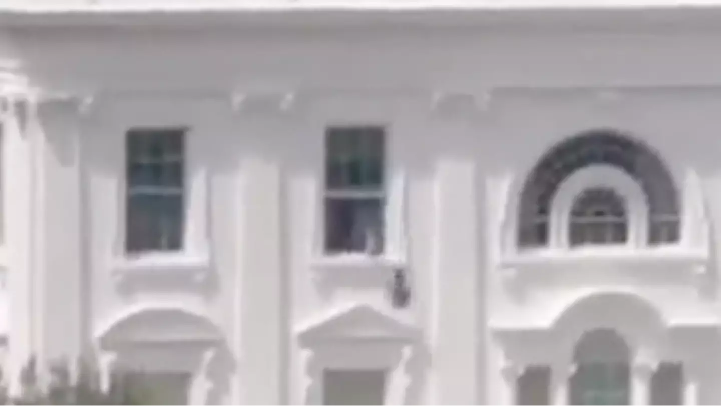 Everyone’s saying the same thing as bizarre video of black bags being thrown out of White House window goes viral