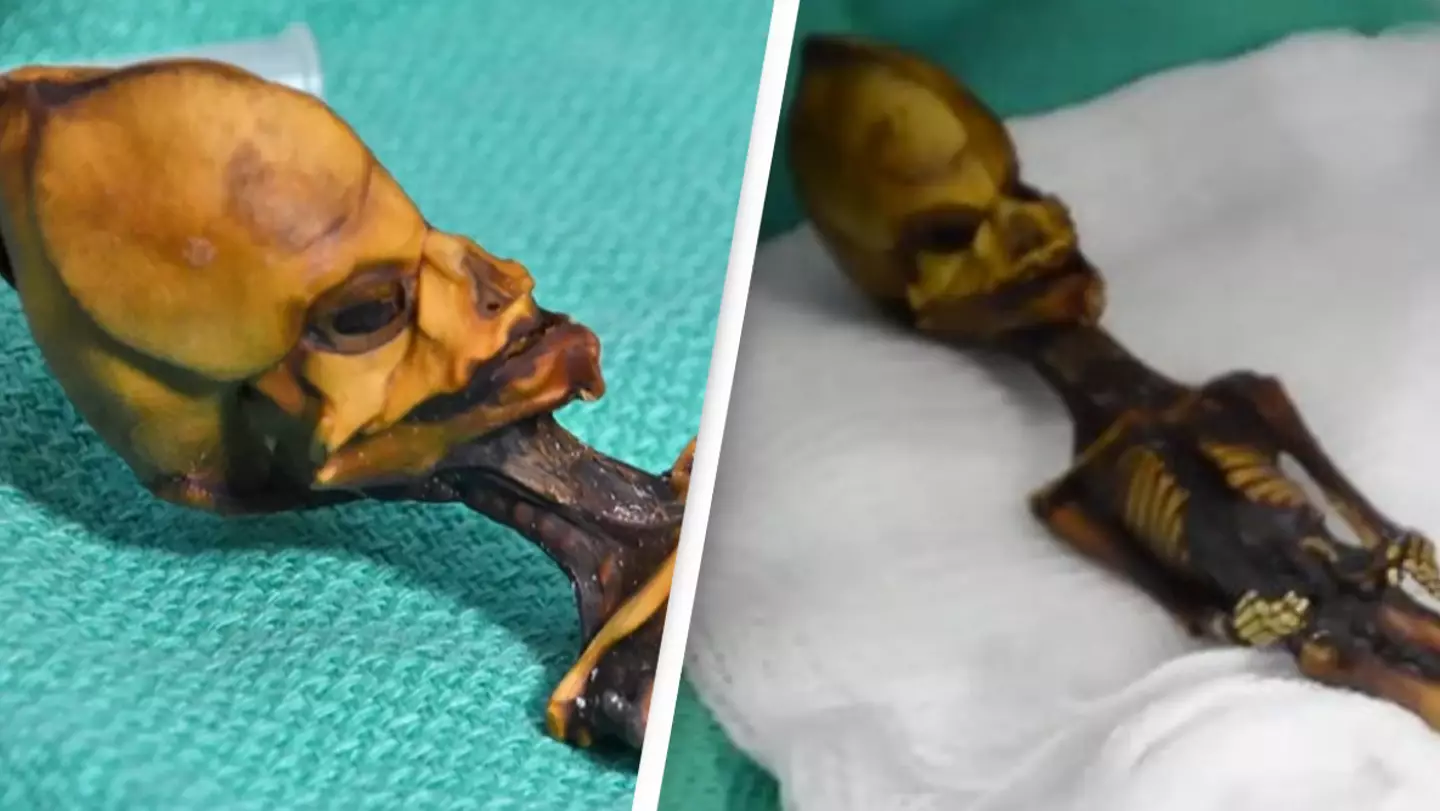 The story of 'alien' mummy found in the desert which rewrote history