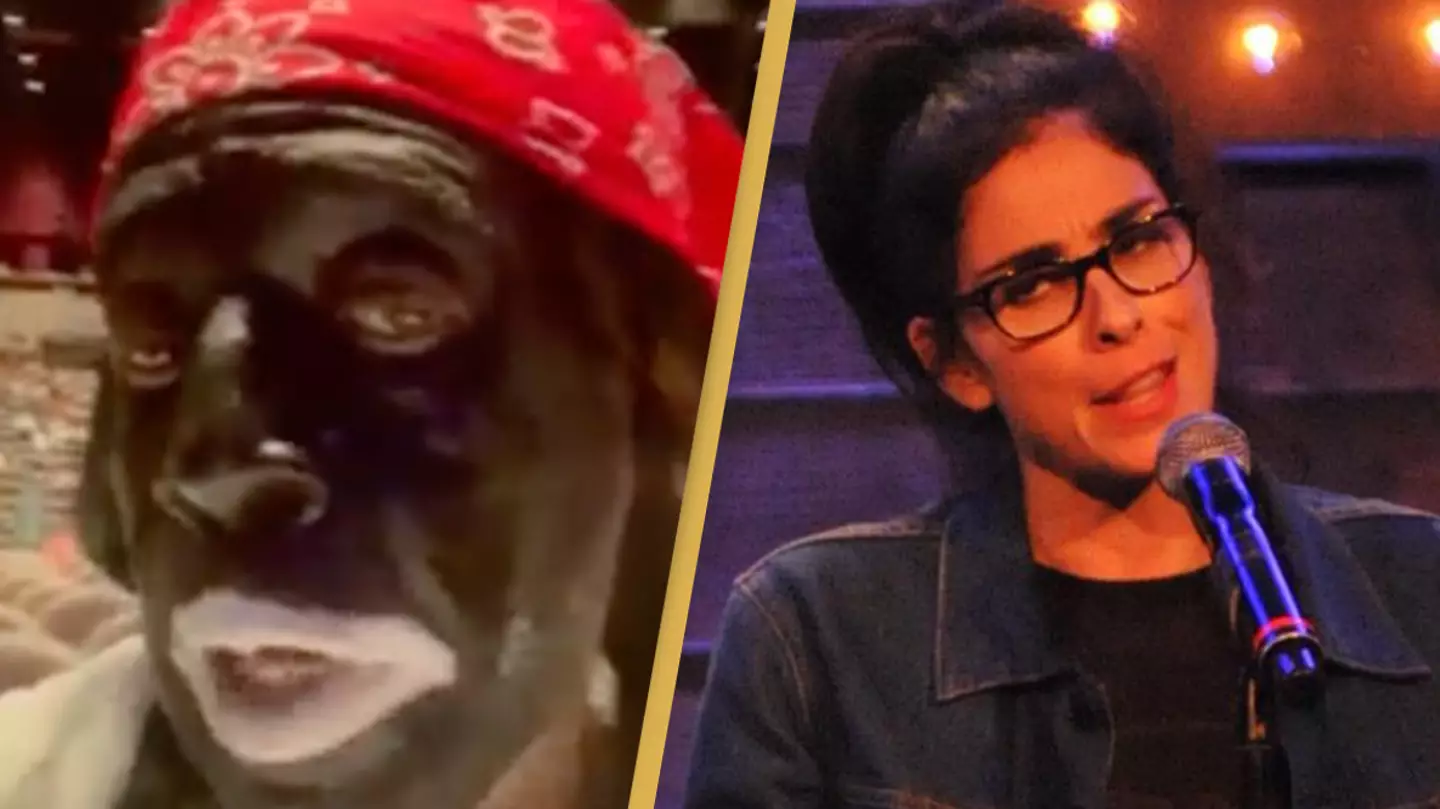 Elderly Black man in blackface storms Sarah Silverman show in protest at old skit