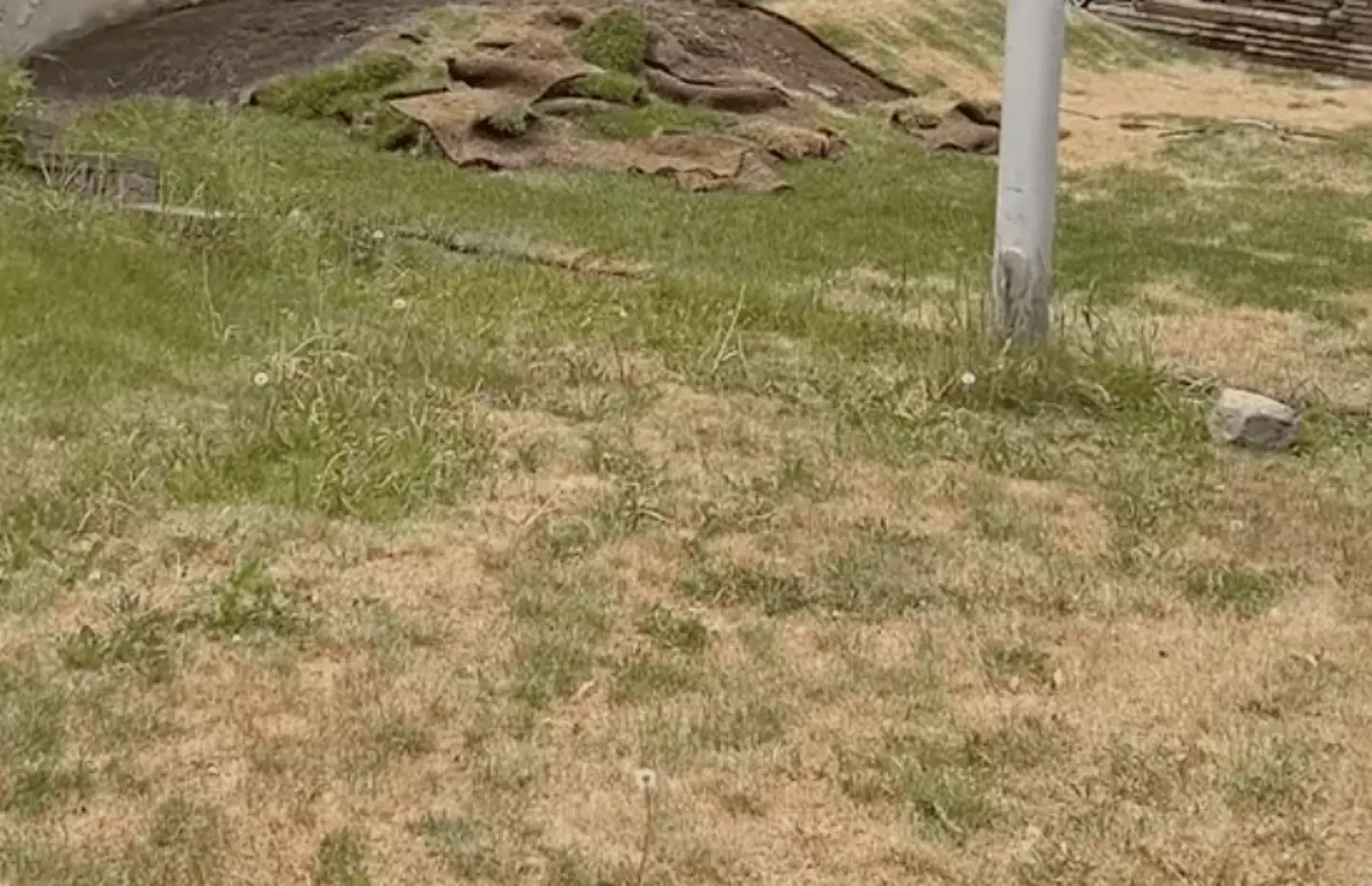 No money? No grass. (TikTok/ @kslicksix)