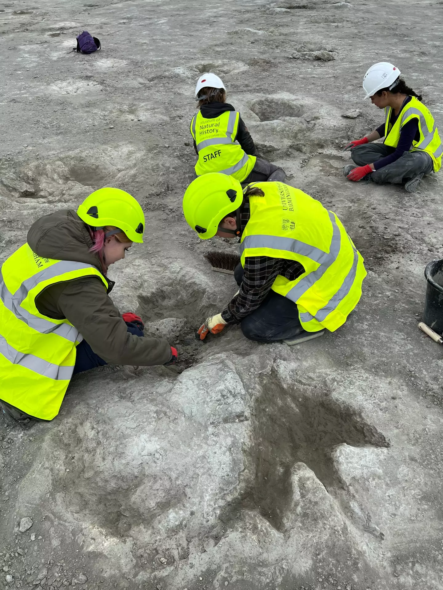 A 'dinosaur highway' has been discovered in Oxfordshire (Emma Nicholls/University of Birmingham/PA Wire)