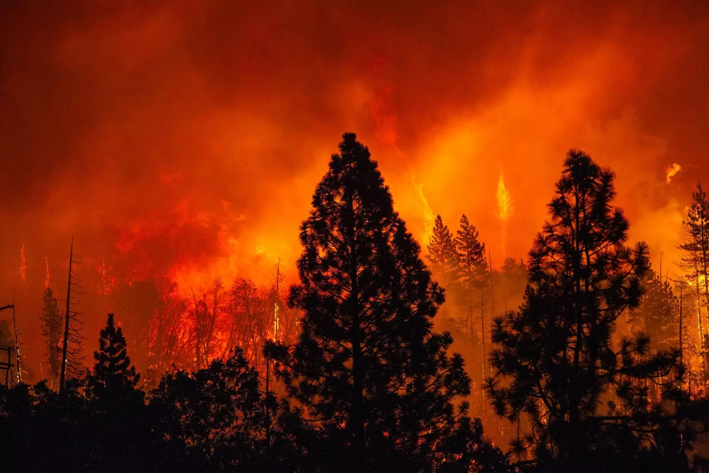 A Californian wildfire near Yosemite National Park has almost doubled in size in just one day.