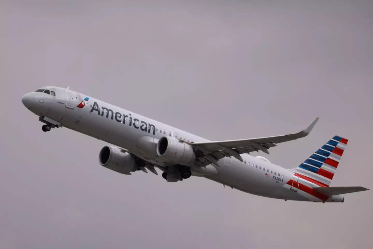 The American Airlines flight turned around (Kevin Carter/Getty Images)