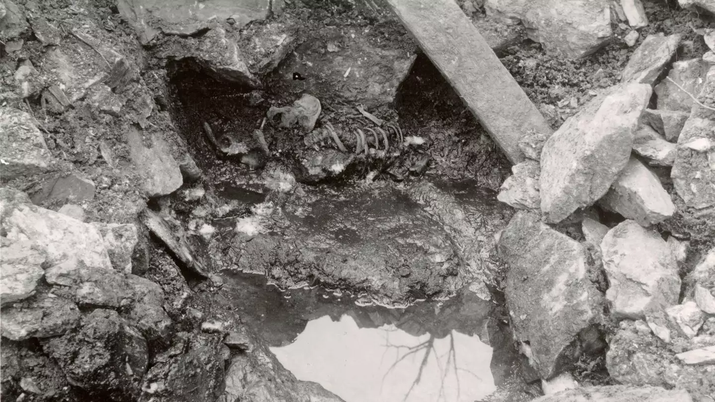 The 'Well-man' remained a mystery for years (Norwegian Institute for Cultural Heritage Research)