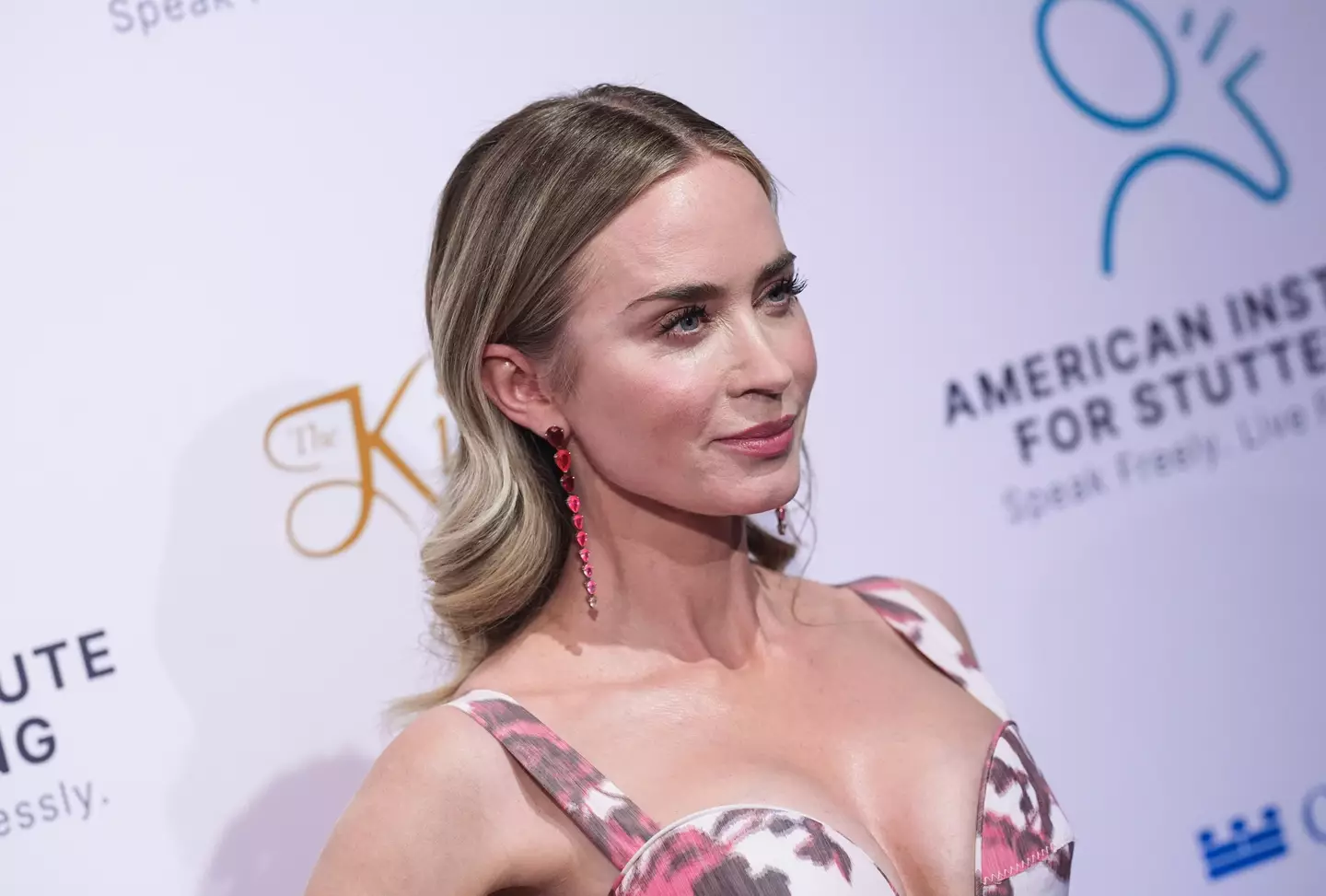 Emily Blunt has a long list of interesting characters she has played (John Nacion/Variety via Getty Images)