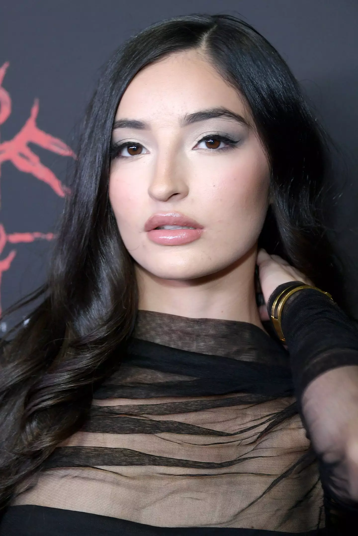 Emily Willis' family claim in their lawsuit that she has been left 'permanently disabled' (Unique Nicole/Getty Images)