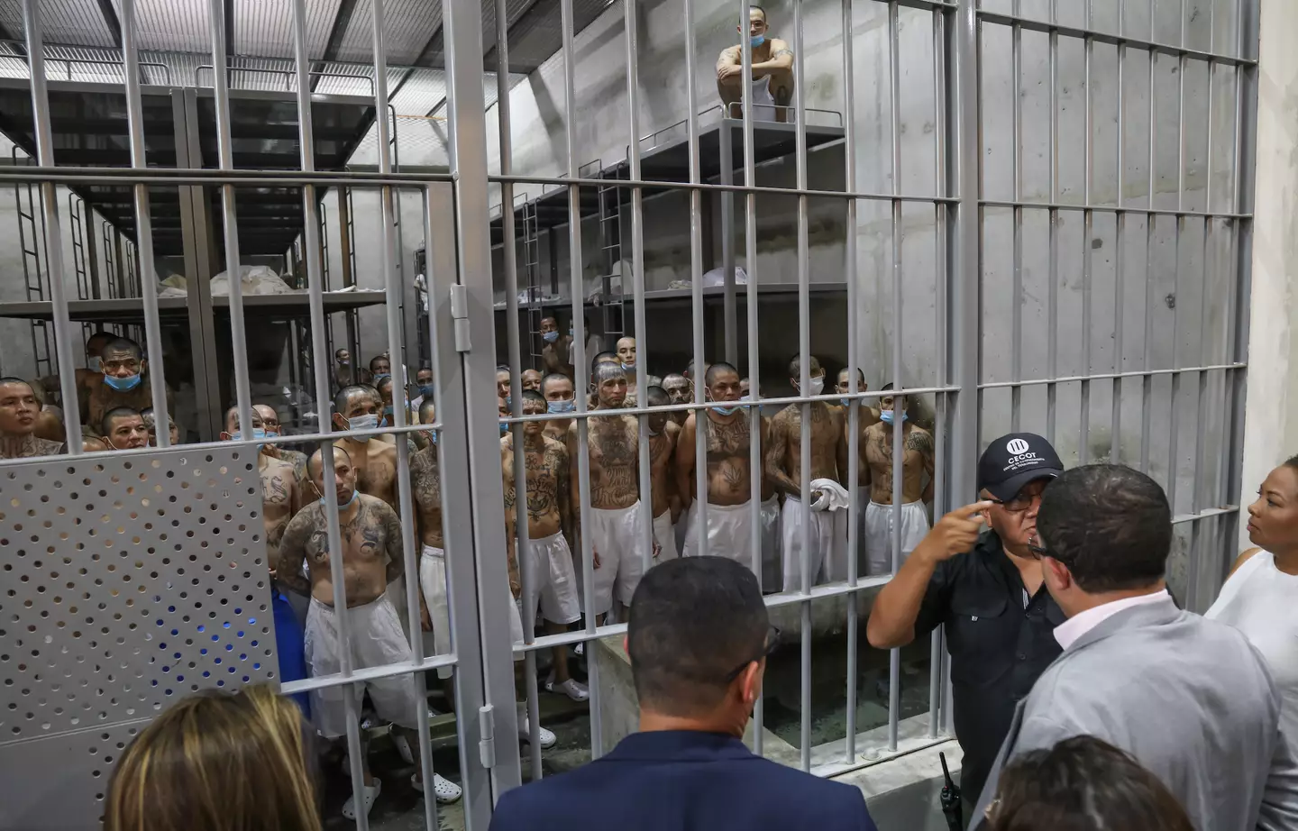 Over 200 people were deported (Alex Pena/Anadolu via Getty Images)