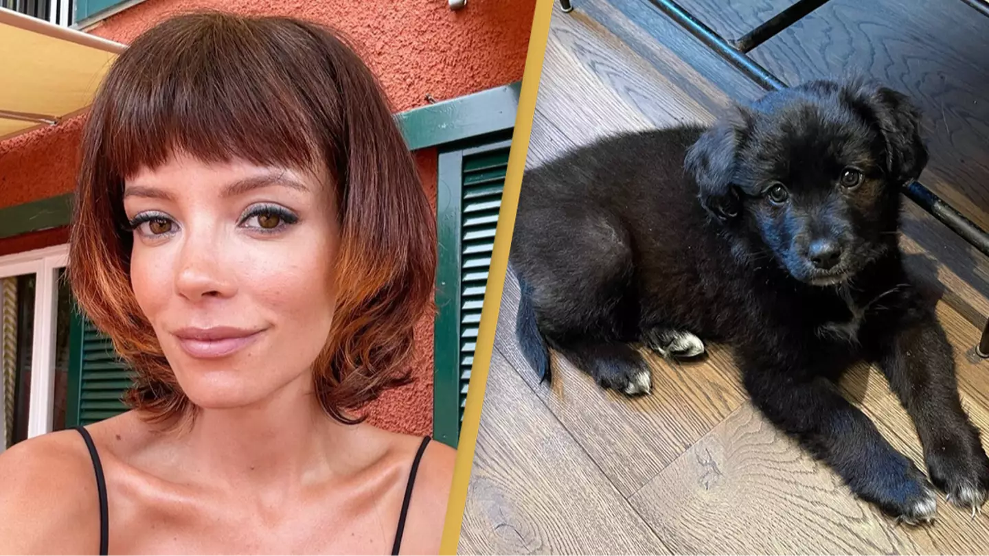 Lily Allen breaks silence after coming under fire for giving dog back to shelter for eating her passport