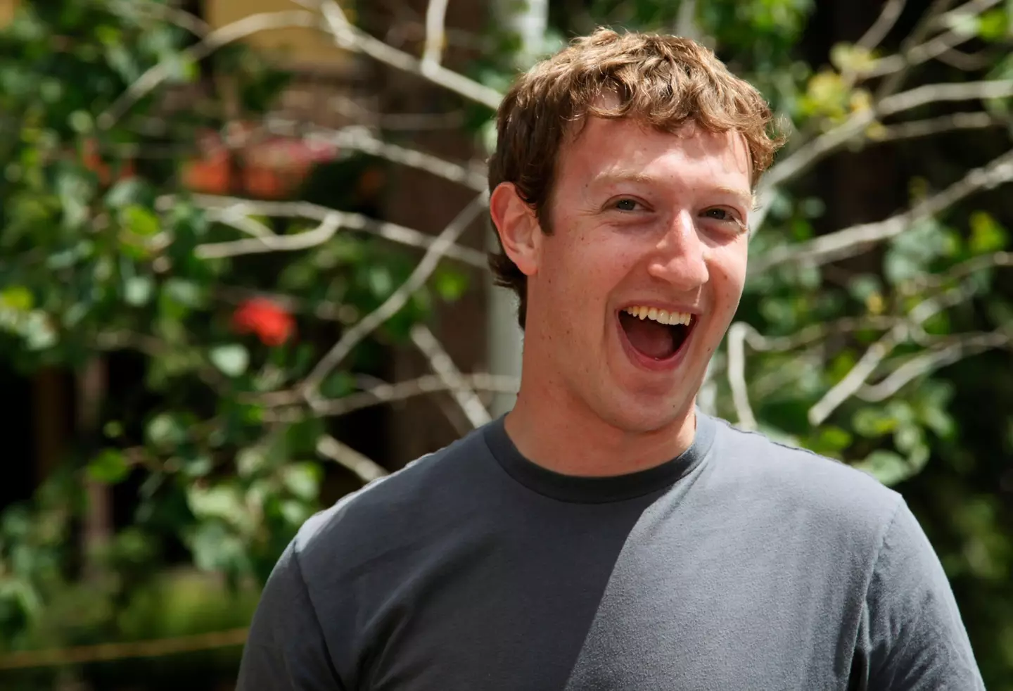 Billionaire Mark Zuckerberg has managed to lose half his fortune and still remain a billionaire, isn’t that lovely for him?