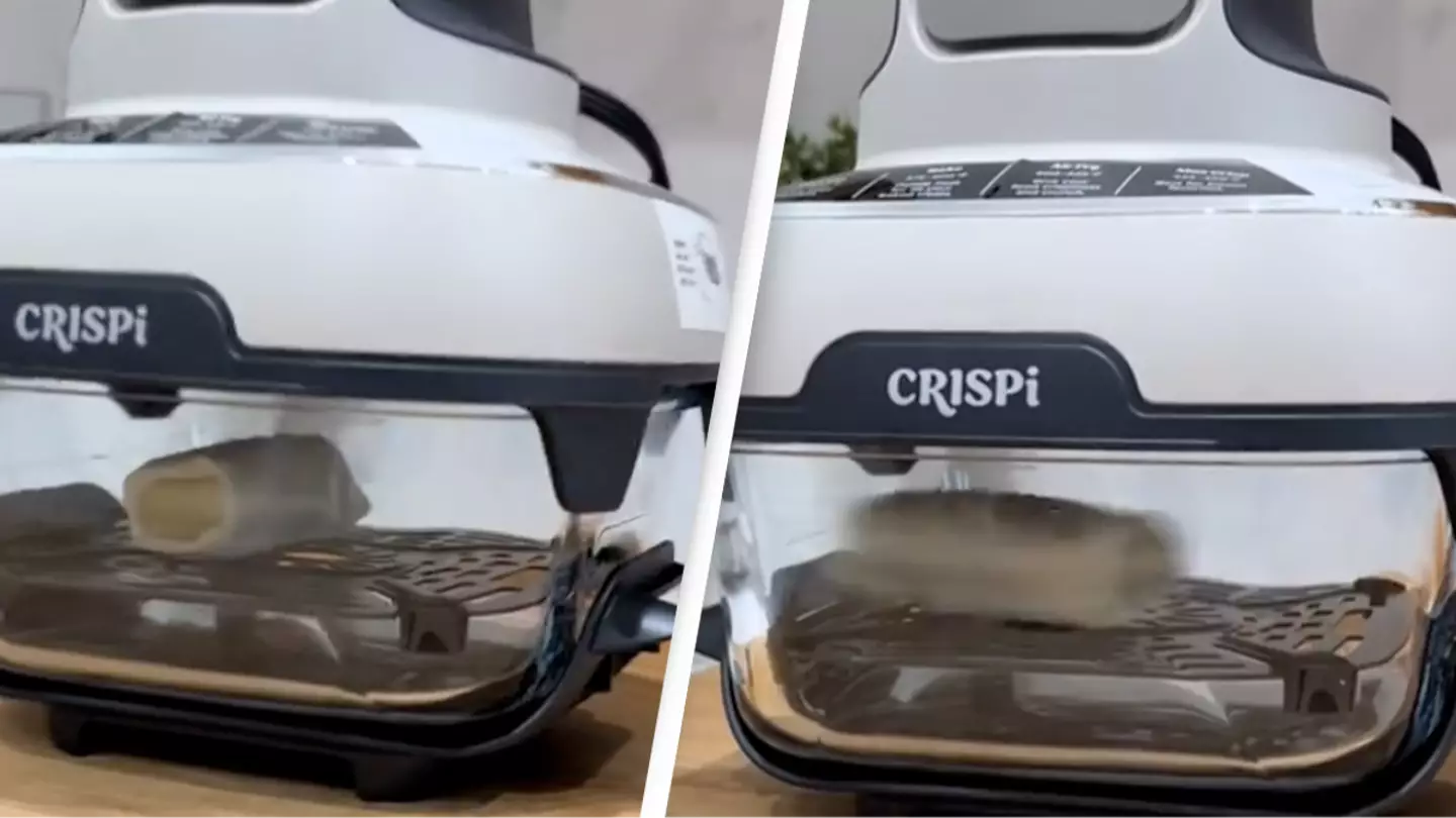 Video shows exactly what happens to your food when you use an air fryer and people are losing their minds