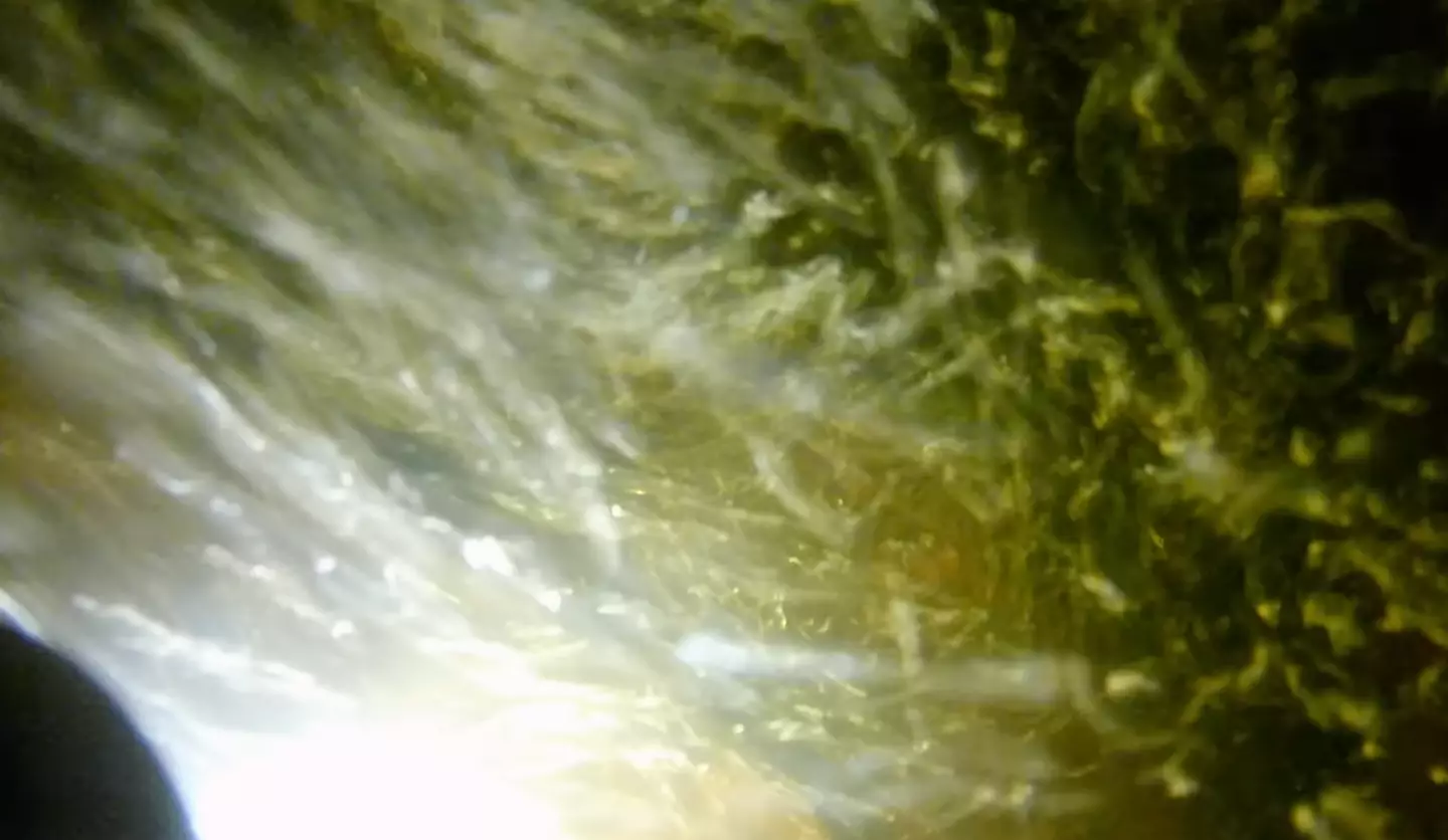 People were in awe of how many air bubbles were still there at 25 meters deep (@jackasnacks/YouTube)