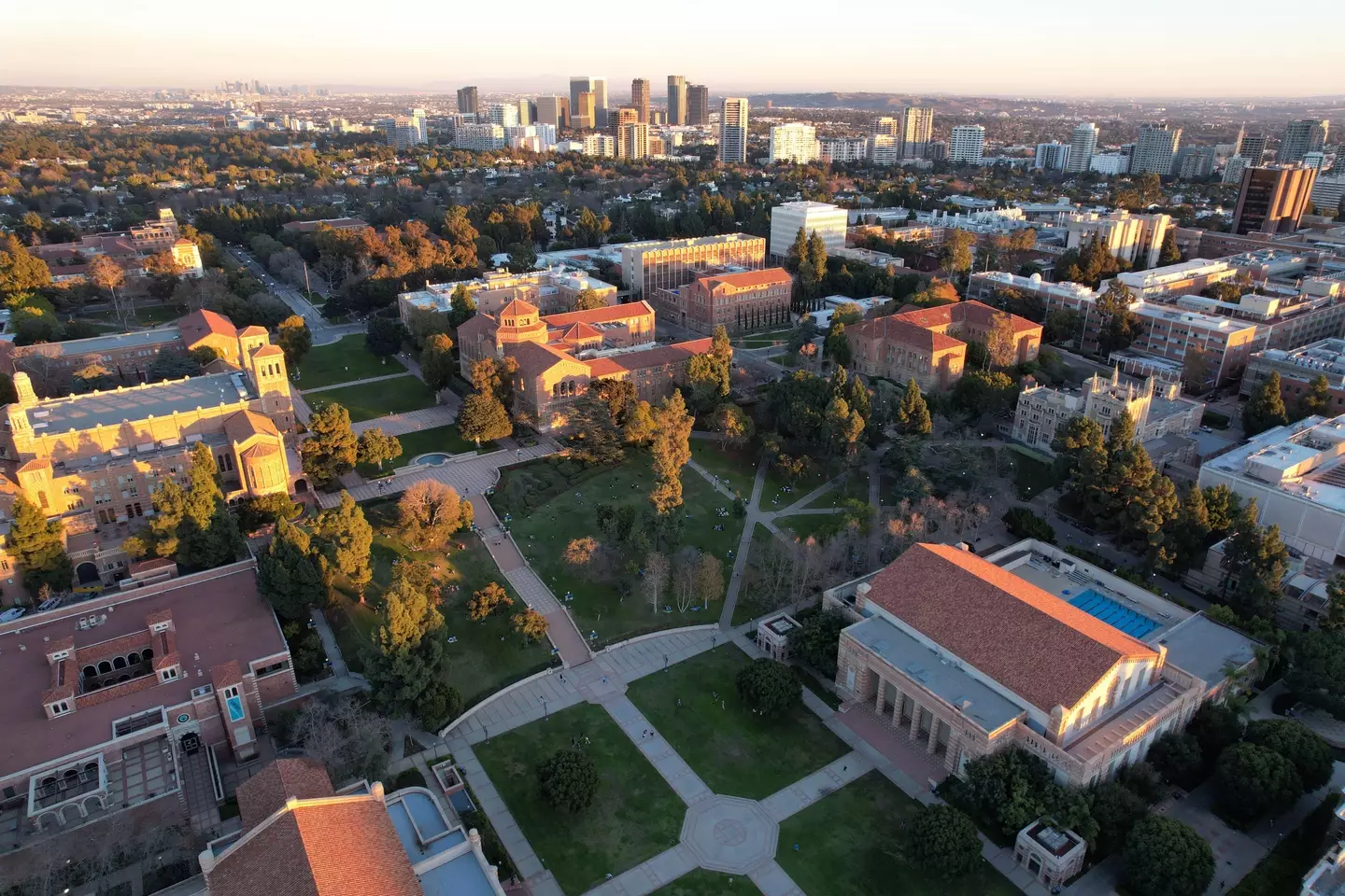 UCLA campus (Alamy)