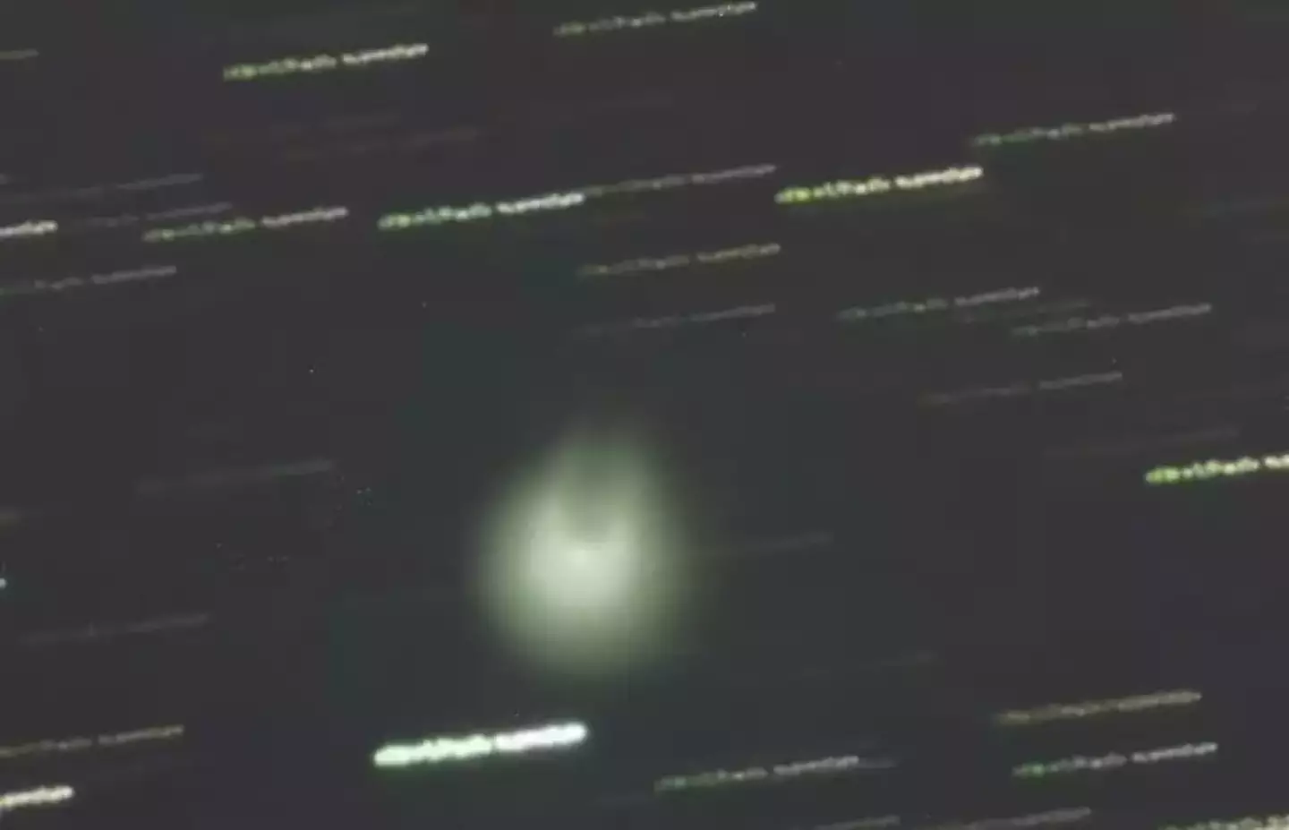 See, it has little horns!