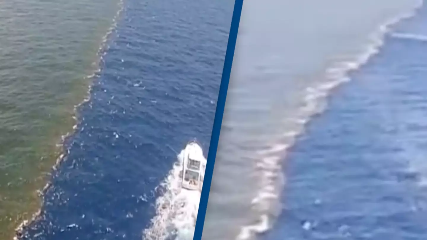 Incredible point where the Mississippi River meets the Gulf of Mexico explained