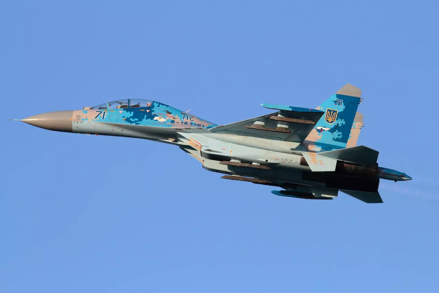 Sukhoi Su-27UB Flanker jet fighter airplane (Alamy)