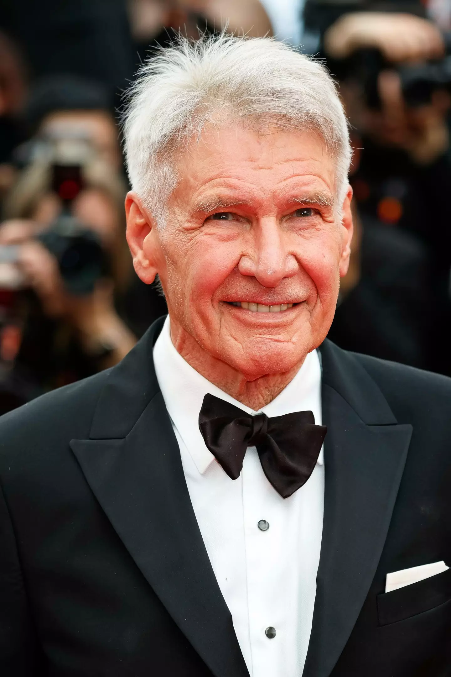 Harrison Ford and Brad Pitt worked together on The Devil's Own.