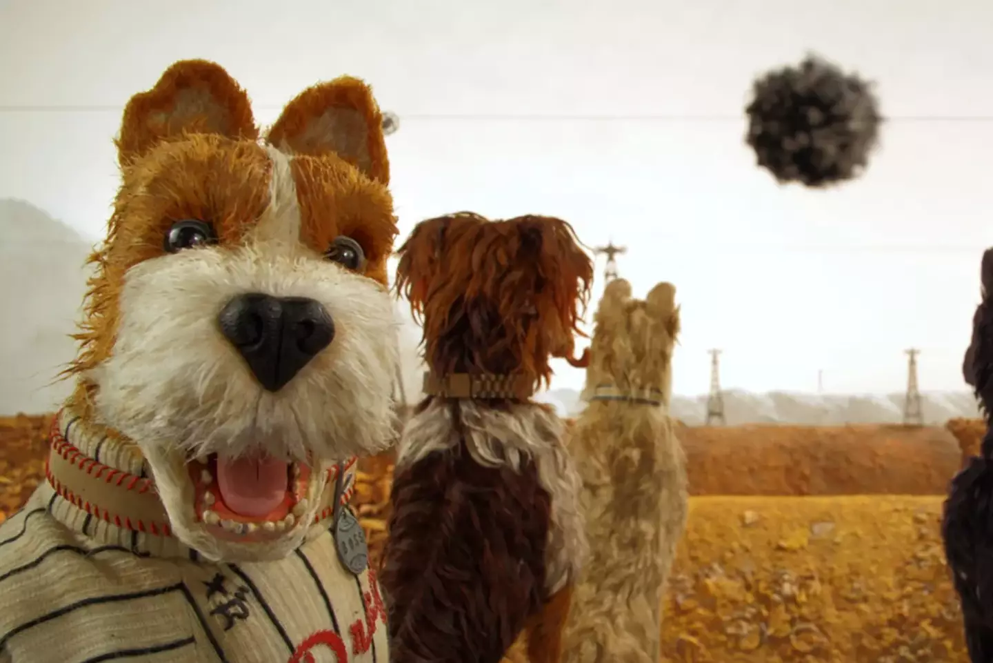 Isle of Dogs was released in 2018 (Searchlight Pictures)