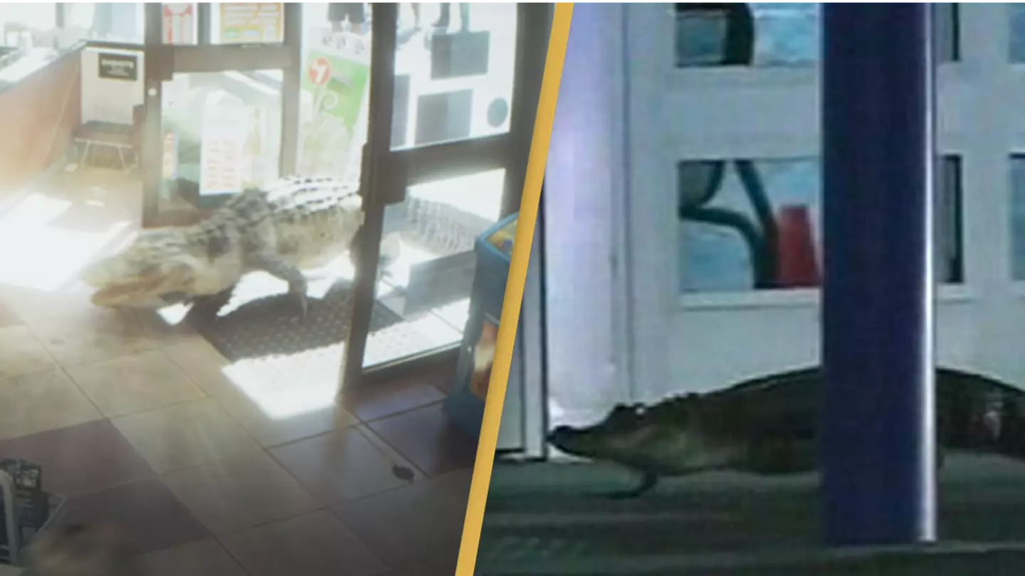 Rockstar Games/ WESH