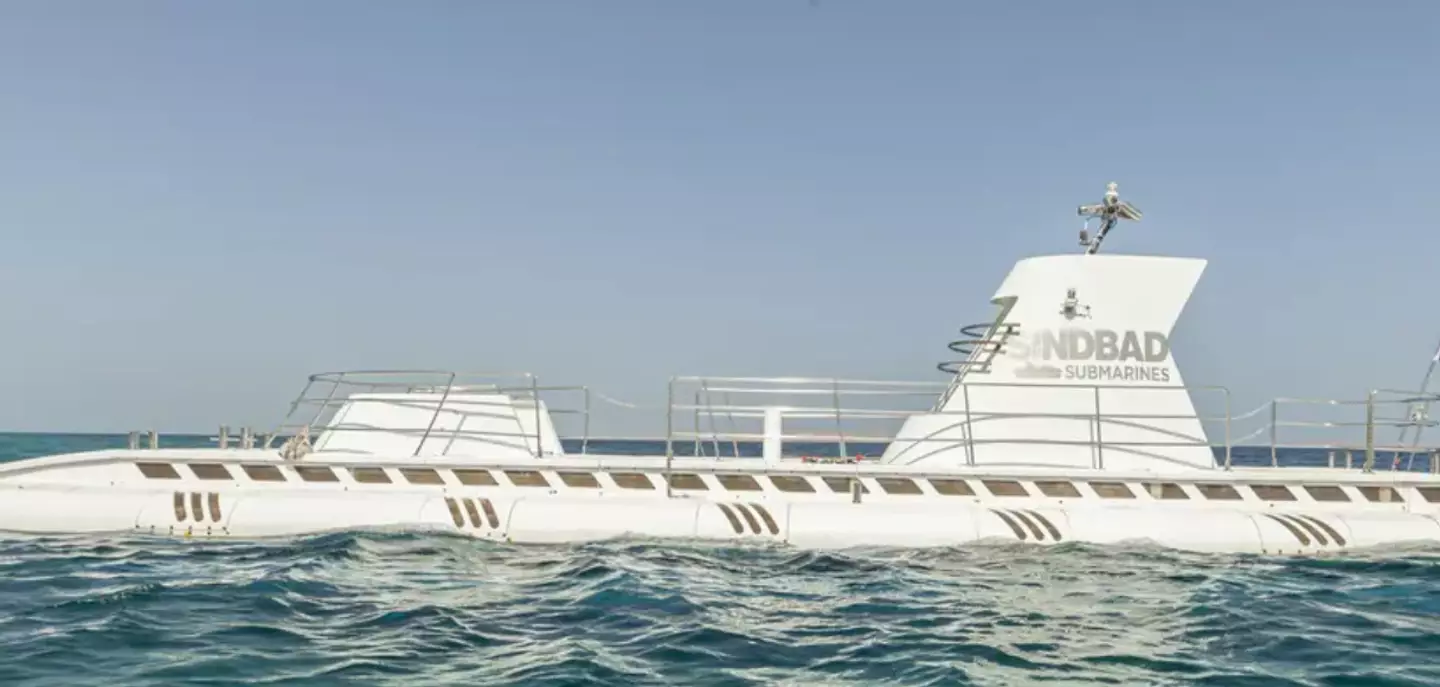 The submarines take guests 25 metres below the surface (Sindbad Submarines)