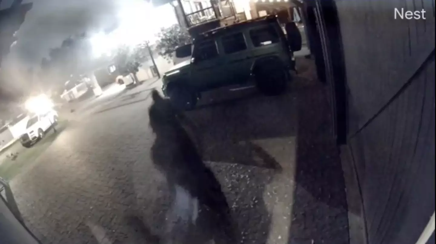 Amouranth shared footage of the attempted robbery on her socials. (X/Amouranth)