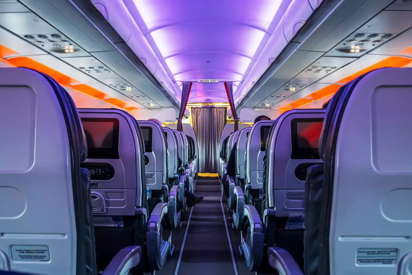 It's anyone's guess what's so alluring about the interior of a plane (Alexander Spatari/Getty)