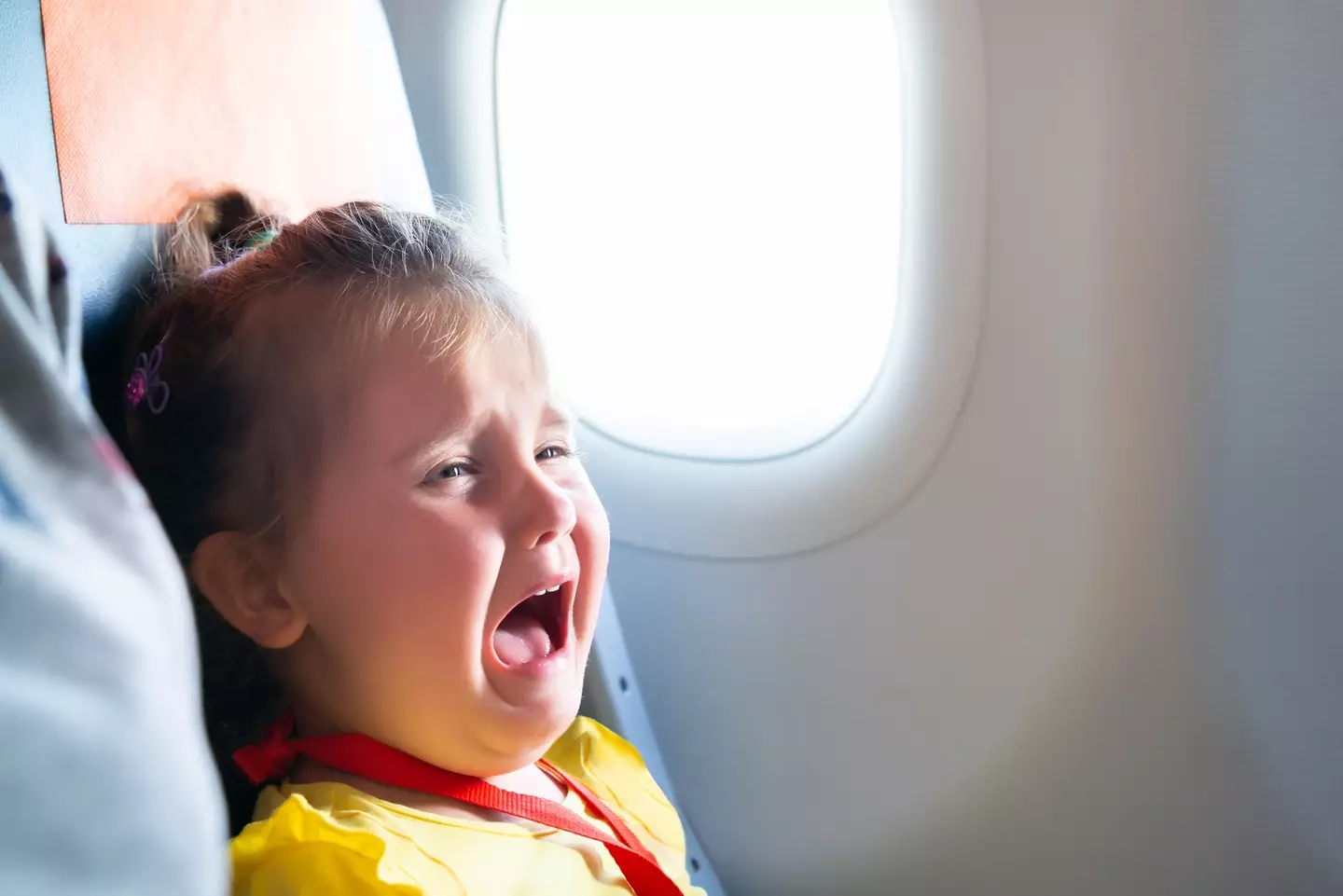 The idea of introducing child free flights is a controversial one.