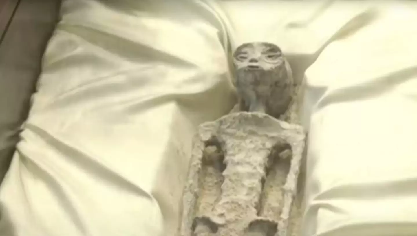 The two alleged 'non-humans' were presented at Mexico’s first public congressional hearing on Unidentified Anomalous Phenomena (UAPs), also known as UFOs, on Tuesday (September 12).