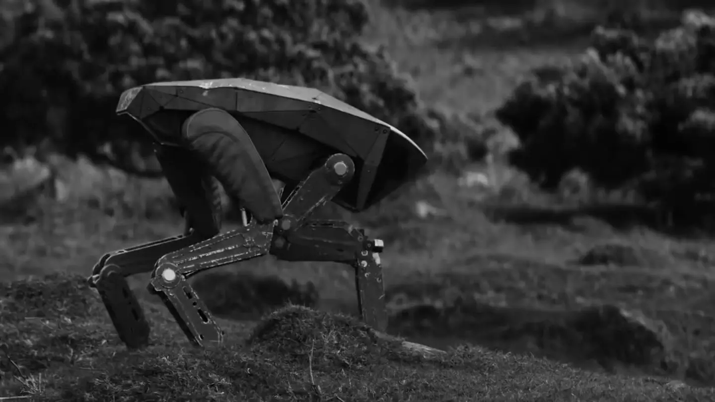 The robot dogs in Black Mirror's 'Metalhead'.